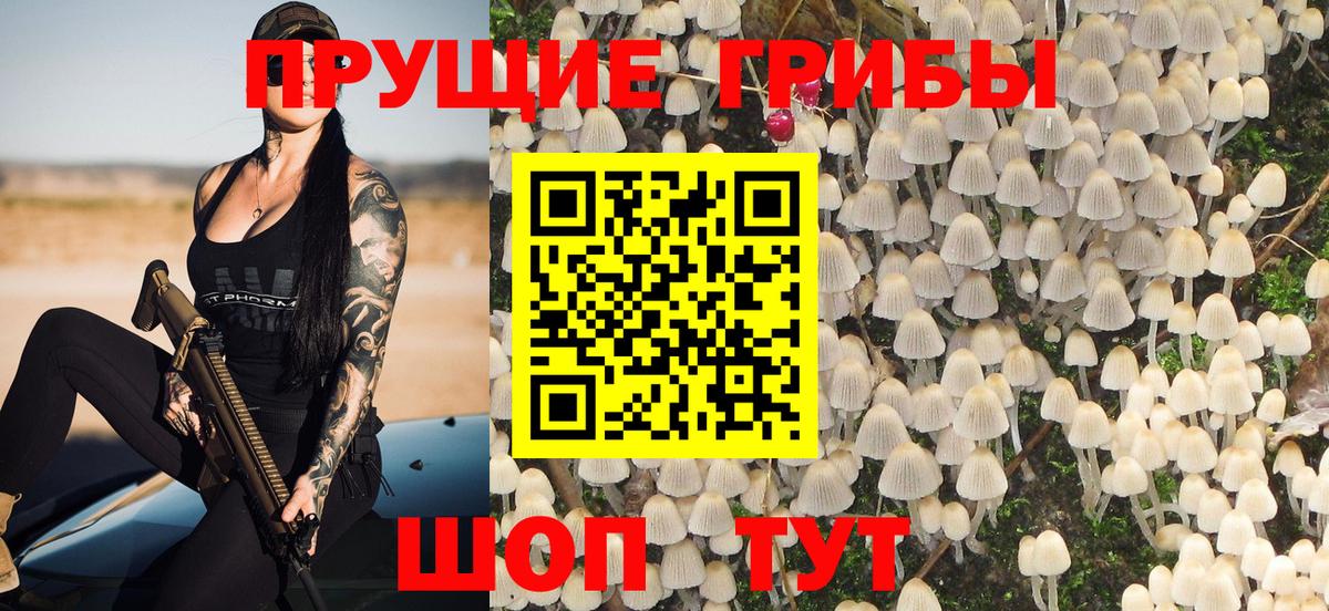 Галлюциногенные грибы прущие грибы Кунгур
